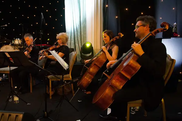String quartet playing at the 2014 bis Awards at The Savoy