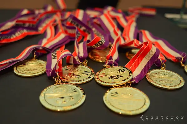 bis gold medals on purple, red and white ribbons at the British Invention Awards 2013